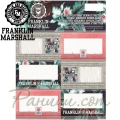 Stationery Team Етикети Franklin & Marshall Girls